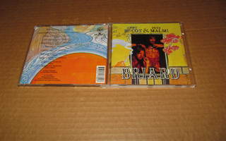 BRIARD  CD  Andy Mc Coy & Pete Malmi v.1996 UUDENVEROINEN !