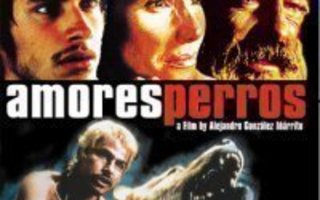 AMORES PERROS  - DVD