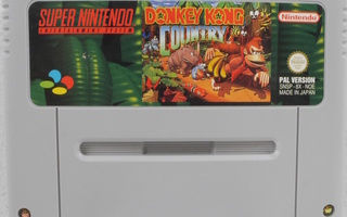 Donkey Kong Country