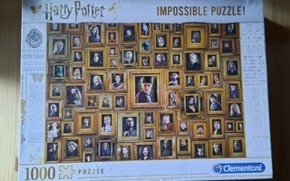 Harry Potter Impossible puzzle