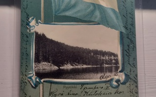 Tampere Pyynikki vanha lippu sommitelma kortti