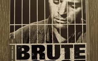 Brute Force, Criterion