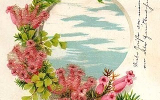 HARVINAISUUS!! / Poutapilviä ja romanttiset kukat. 1900-l.