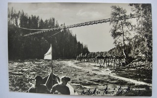 VANHA Postikortti Oulujoki Leppiniemi Muhos 1938