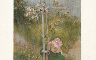 Carl Larsson - Tyttö  ja omenapuu  - Apple Blossom