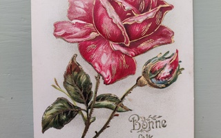 Vanha postikortti ruusu