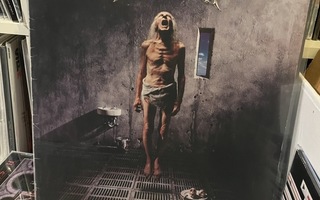 Megadeth - Countdown to Extinction LP