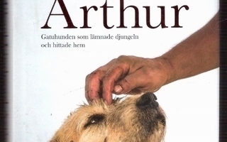 Arthur: Gatuhunden som lämnade djugeln & hittade hem (2016)