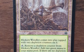 Magic the Gathering Hickory Woodlot