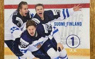 OMAKUVAMERKKI 27 NUORET LEIJONAT 2016**