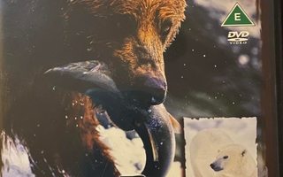 Big Bears in the Wild- 3 discs Dvd Uusi