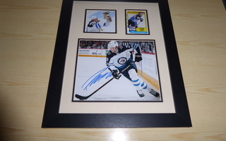 Aito Patrik Laine NHL nimikirjoitus kehystetty COA