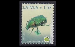 Latvia 1069 ** Luonnonhistoriallinen museo kovakuoriainen (2