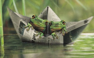 Kaksi sammakkoa paperiveneessä (postikortti)