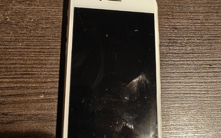 iPhone 6s (A1688)