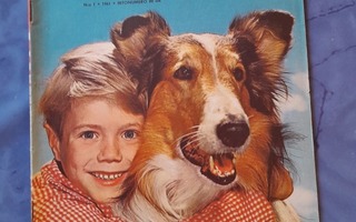 lassie 1961 1