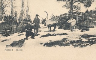 Lappalaisia poroineen - vanha Carte Postale - 1906