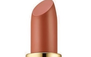 Estee Lauder Pure Color Envy sävy 160 Discreet