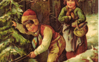Poika sahaa joulukuusta metsässä