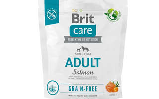 BRIT Care Dog Viljaton Adult Small & Medium Salm