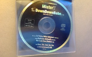 Long live HURRIGANES :: Mr Y / Down Down Babe :: PROMO   CDS