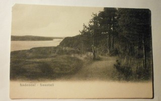 Naantali, rantanäkymä, hiekkatie mäntymetsässä n 1910, ei p.