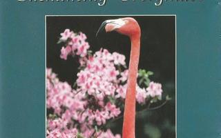 Byron M. Davis : Enchanting Everglades  cd