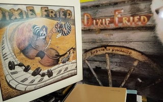 2 kpl LP Dixie Fried : 1 & Six Dicks of dynamite ( SIS POSTI
