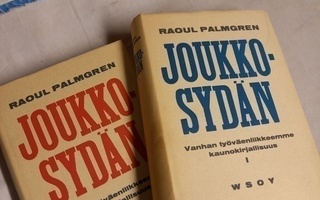 raoul palmgren joukkosydän 1-2