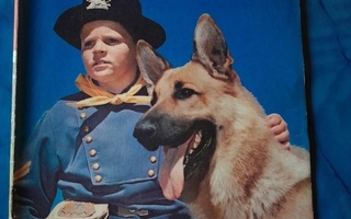 rin tin tin 1961 3