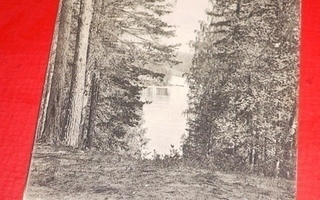 Näköala Punkaharjulta v. 1904   (K7)