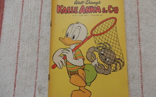 KALLE ANKA & C:O  41 -  1963