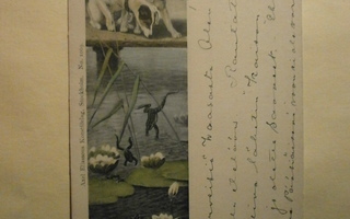 Koirat katselevat sammakkoja ja lumpeita, vanha pk, p. 1903