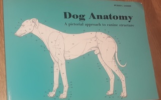 Peter C. Goody: Dog Anatomy