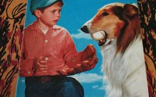 Lassie 2 1960