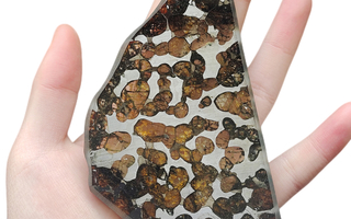 Pallasiitti meteoriitti täynnä läpinäkyviä suuria kiteitä