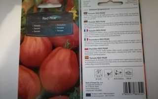 Päärynätomaatti 'Red Pear' - siemenet
