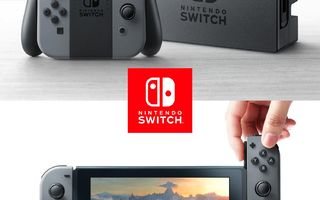 Nintendo Switch Pelikonsoli Harmaa (Käytetty)