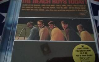 The Beach Boys  Today