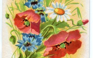 Vanha kortti 1940-50-luvulta - Kauniit kukat 1