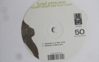 Brad Petersen: Excerpt From A Deep Soul´s Diary 12" EP House