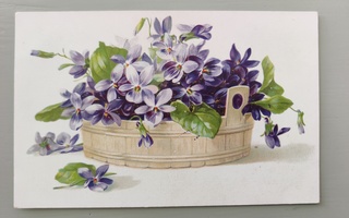 Vanha postikortti kukkakori