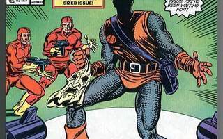 The Amazing Spider-Man #289 (Marvel, June 1987)