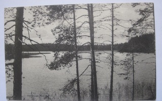 VANHA Postikortti Evo Lammi Hämeenlinna 1913