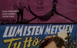 VERTA KÄSISSÄMME & LUMISTEN METSIEN TYTTÖ DVD