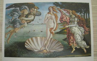 pk Botticelli Venuksen syntymä Firenze Uffizi