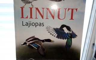 Pertti Koskimies : Linnut lajiopas ( SIS POSTIKULU)