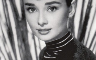 Audrey Hepburn, raidallinen pusero