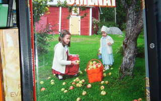 Blomqvist : Pohjoisen omenat ( sis. postikulun )