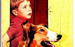 LASSIE 6 1960